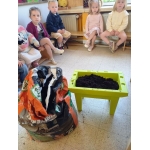Zzzzzoem, zoem, zoem, een bijtje zoekt een bloem!