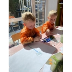 Nieuw leven: zaaien en planten 🌱🌺