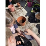 Nieuw leven: zaaien en planten 🌱🌺