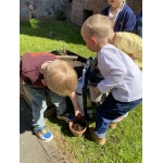 Nieuw leven: zaaien en planten 🌱🌺