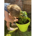Nieuw leven: zaaien en planten 🌱🌺