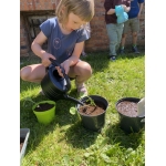 Nieuw leven: zaaien en planten 🌱🌺