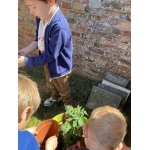 Nieuw leven: zaaien en planten 🌱🌺