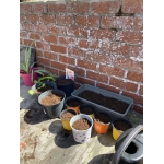 Nieuw leven: zaaien en planten 🌱🌺