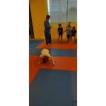 Sportdag