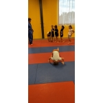 Sportdag