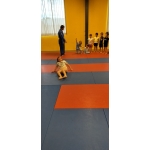 Sportdag