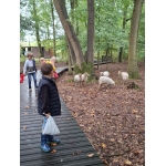 Naar het bos