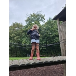Naar het bos