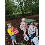 Naar het bos