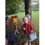 Naar het bos