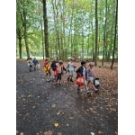 Naar het bos