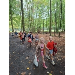 Naar het bos