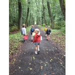 Naar het bos