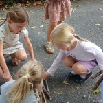 Wilma Wonder en de tak