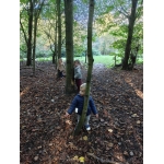 Het bos 🍁