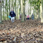 Het bos 🍁