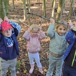 Het bos 🍁