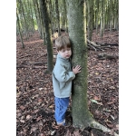 Het bos 🍁