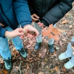 bosleerwandeling en park- en bosspelen