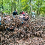 bosleerwandeling en park- en bosspelen
