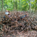 bosleerwandeling en park- en bosspelen