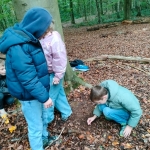 bosleerwandeling en park- en bosspelen