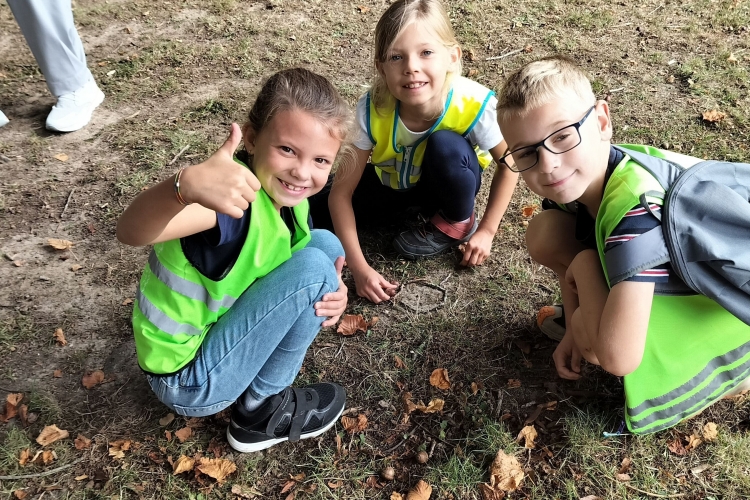 Naar het bos 1ste graad